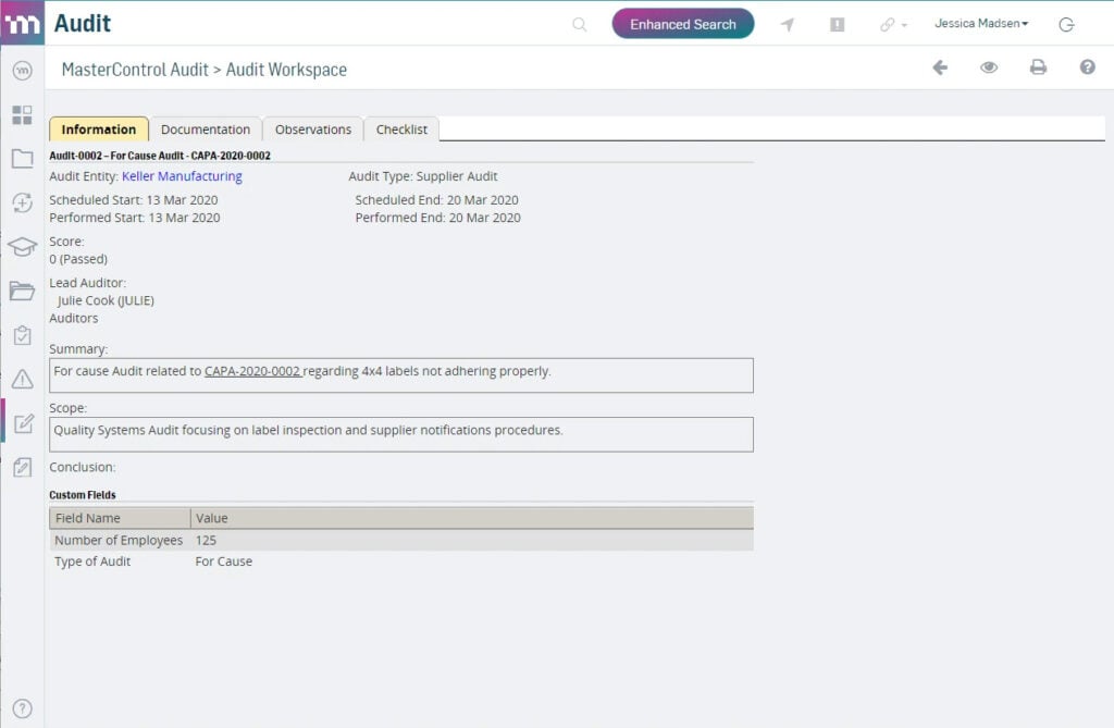 MasterControl interface - audit workspace example